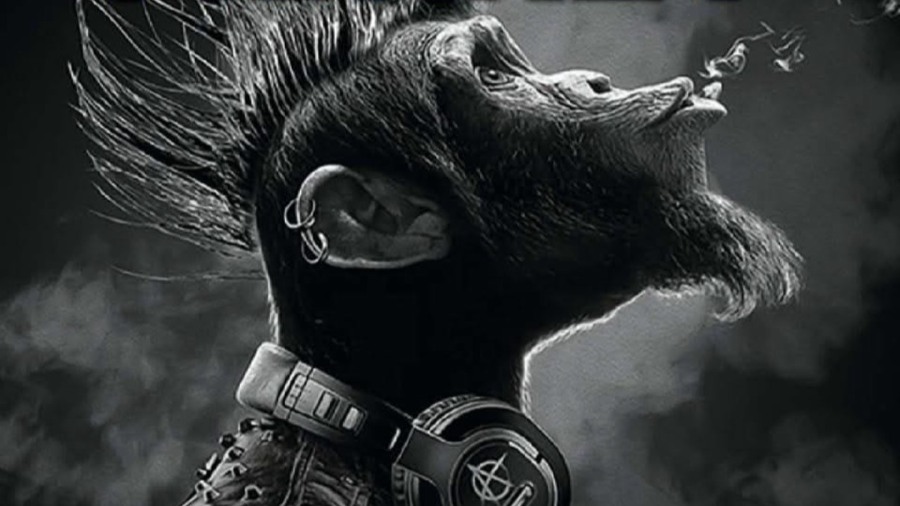Deaf Monkey